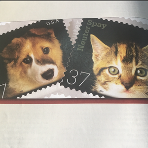 靠发小我变成顶级向导漫画免费无删减
