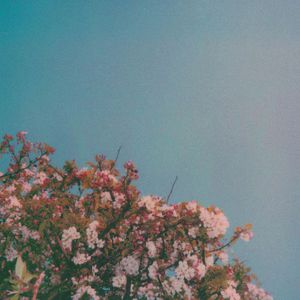 靠发小我变成顶级向导漫画免费无删减
